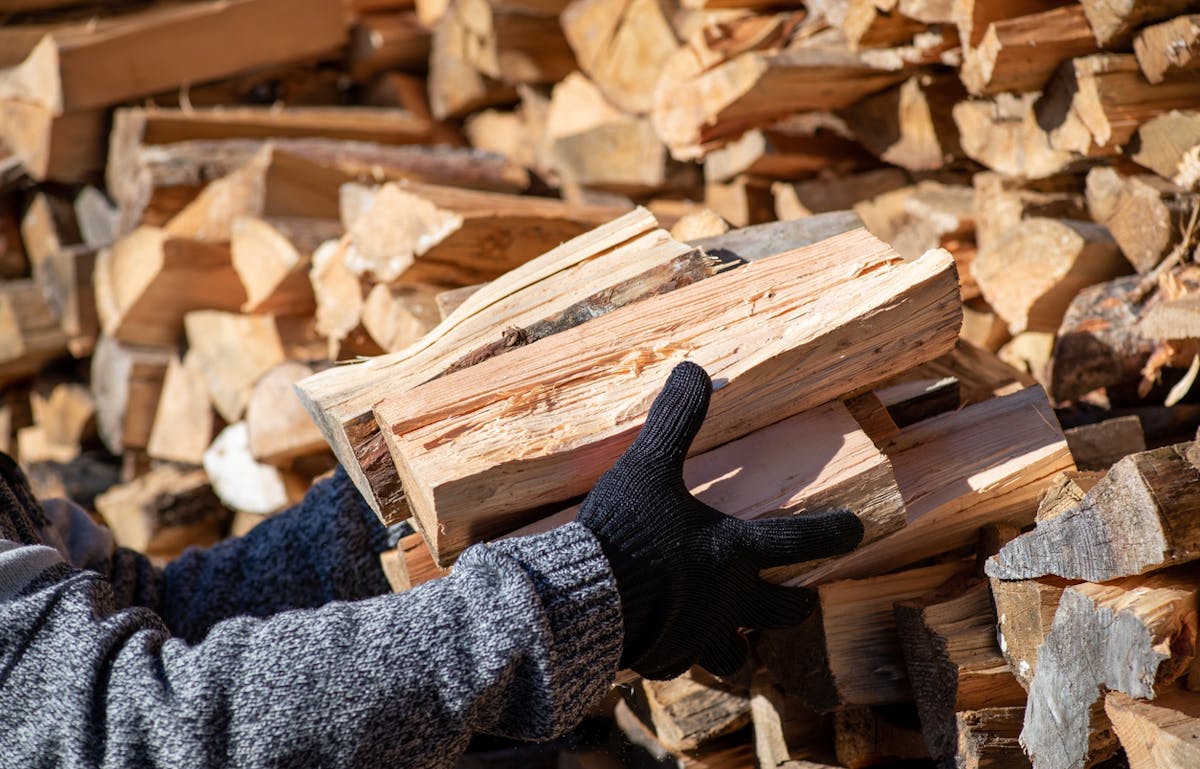Comment choisir son bois de chauffage ?