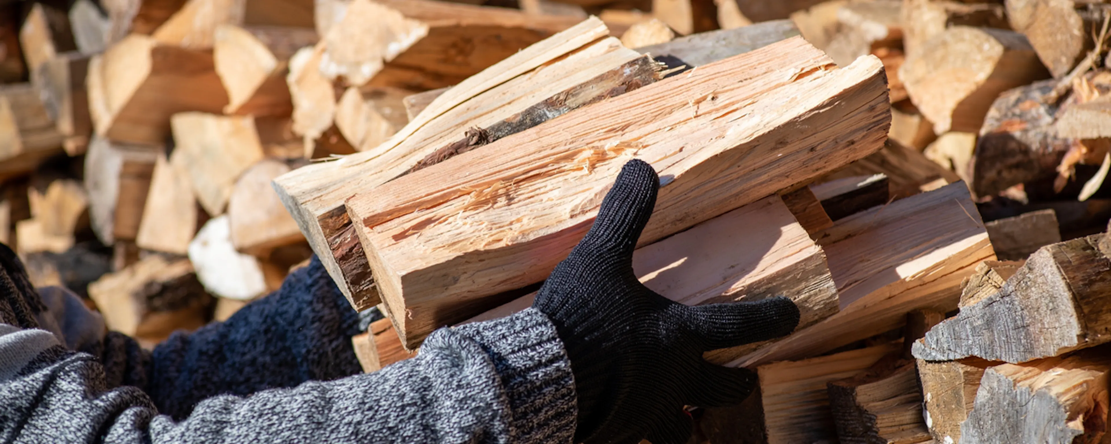Comment bien choisir son bois de chauffage en Nouvelle-Aquitaine ?