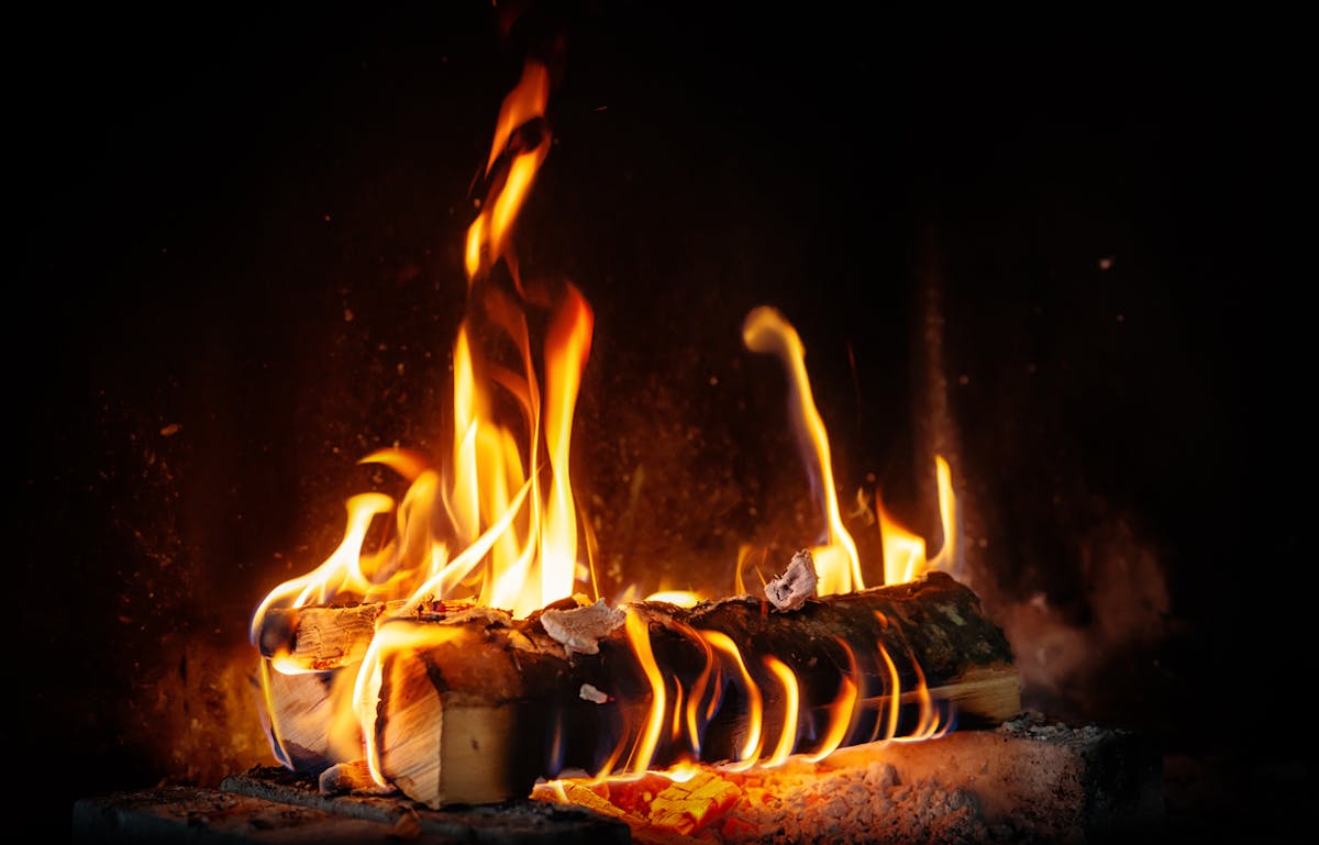 Quel bois de chauffage choisir pour un hiver confortable