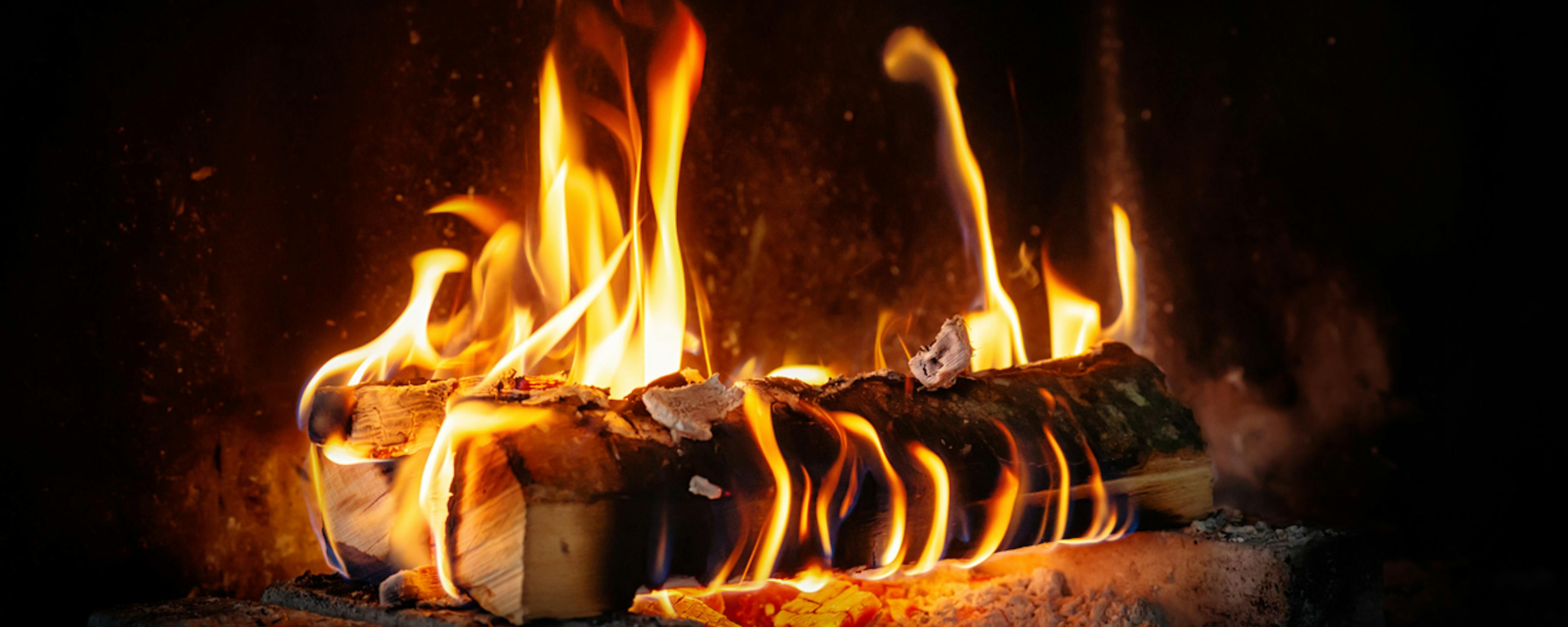 Quel bois de chauffage choisir pour un hiver confortable