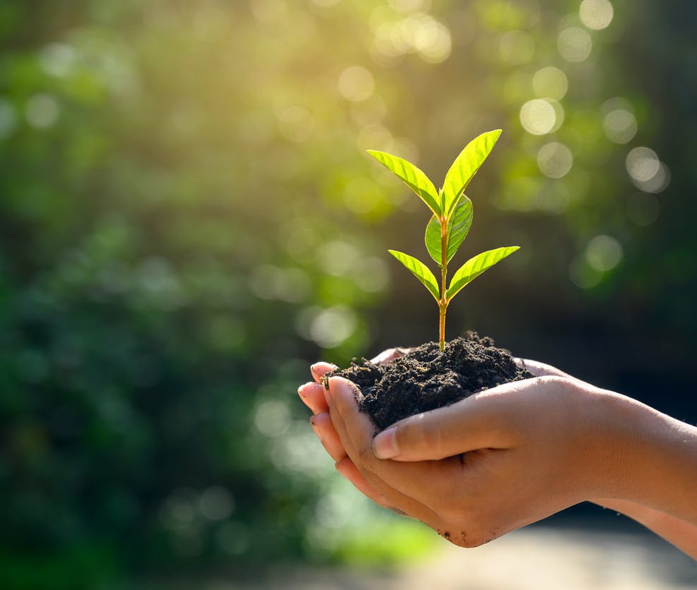 Mure Energies, votre installateur certifié RGE QualiPV à Dardilly intervient dans tout le bassin Lyonnais.