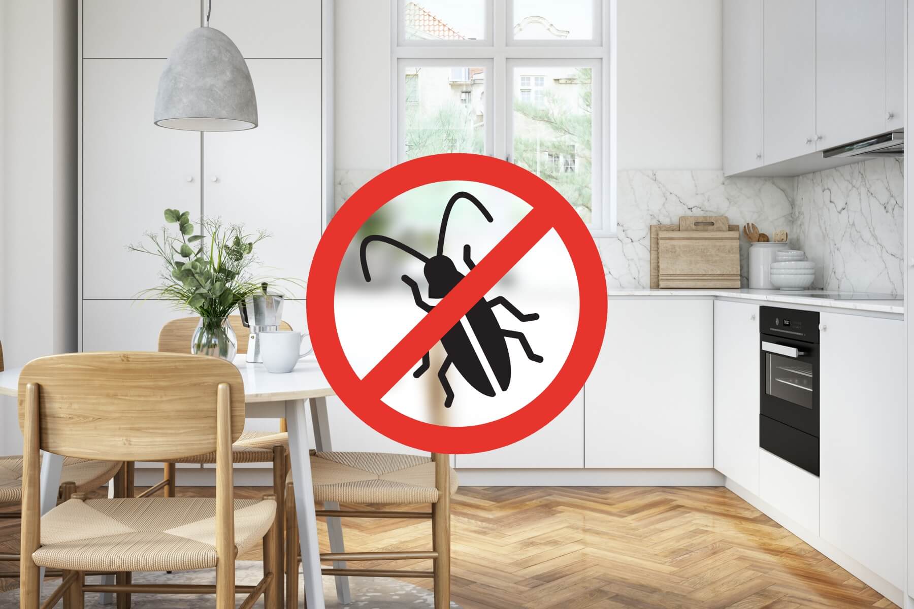 Cuisine blanche avec panneau interdiction nuisibles superposé