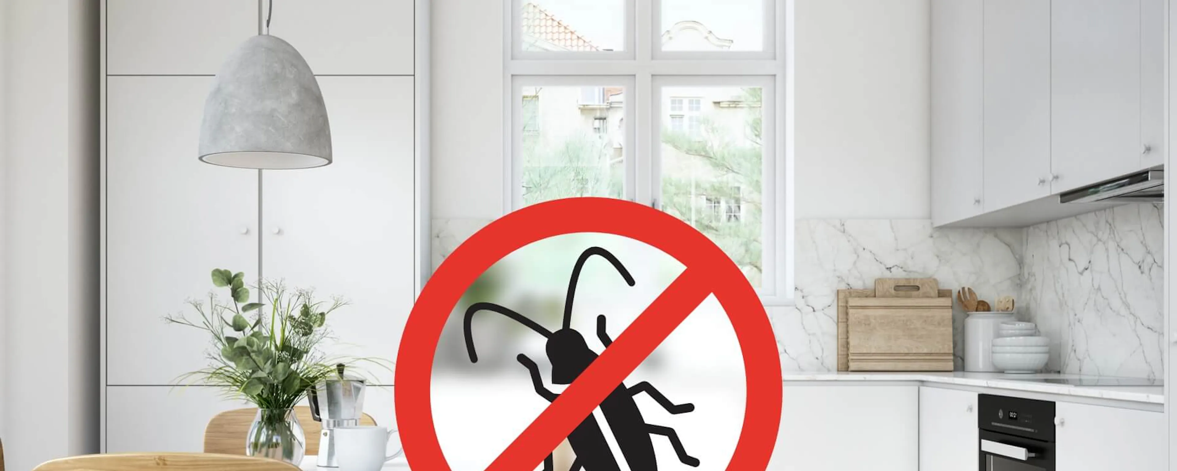 Cuisine blanche avec panneau interdiction nuisibles superposé