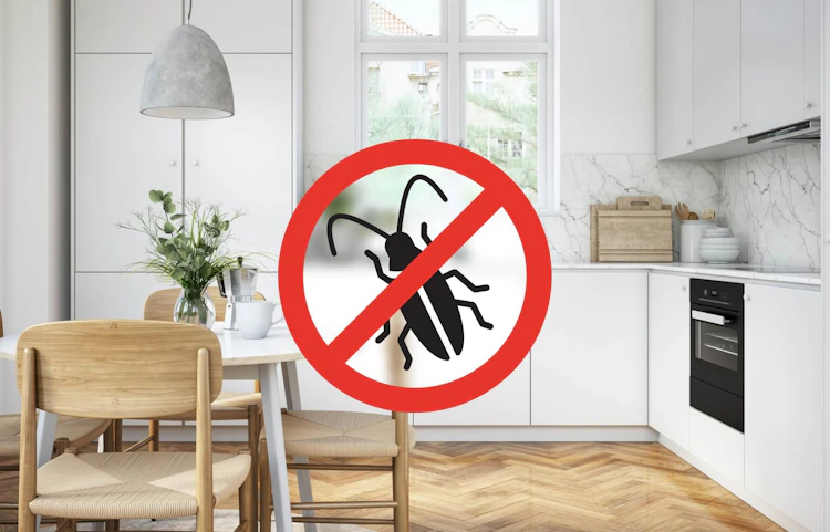 Cuisine blanche avec panneau interdiction nuisibles superposé