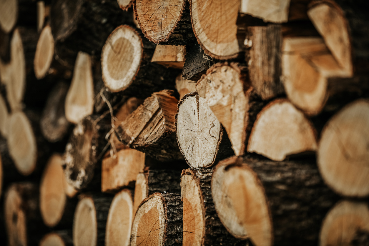 Bûches de bois sec fendues et empilées pour l'hiver