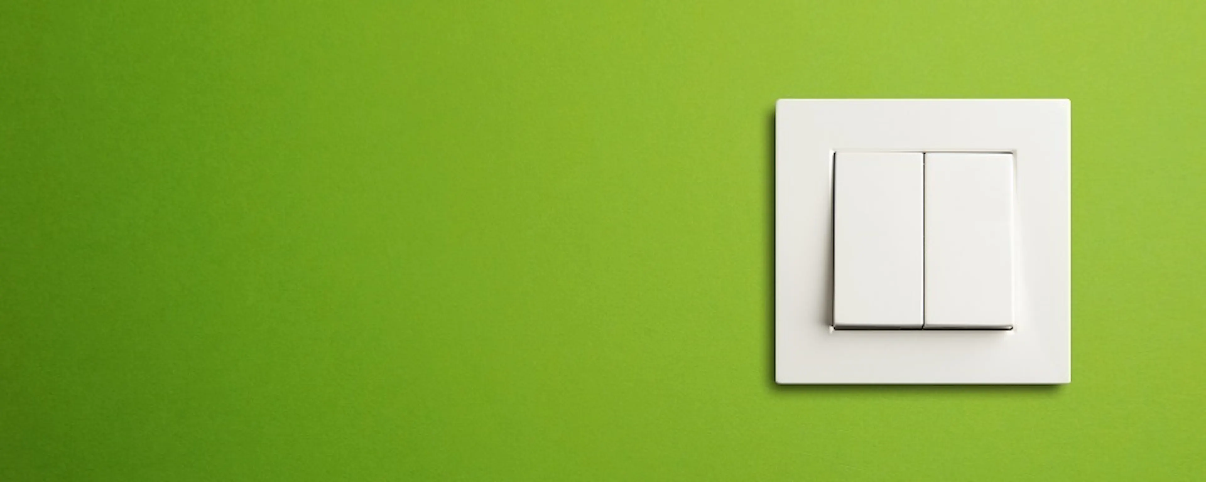 Interrupteur électrique double blanc sur mur vert