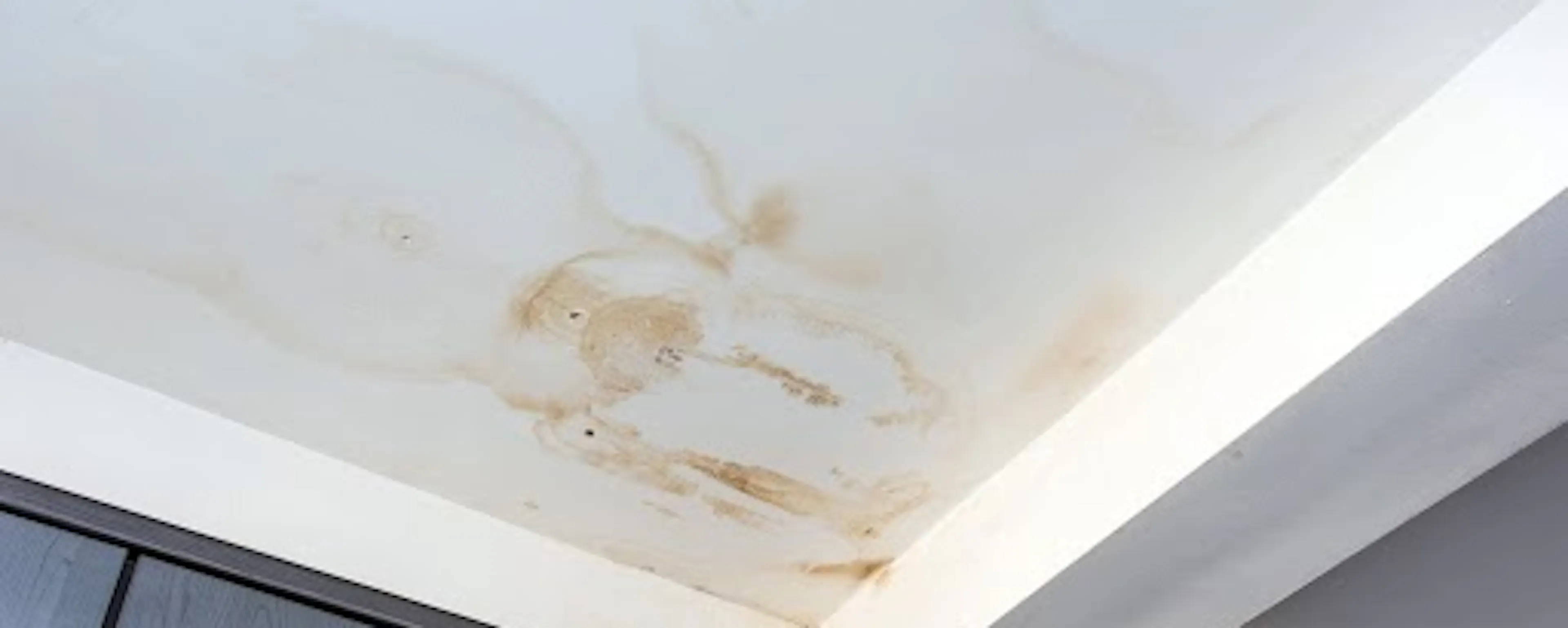 Taches d'humidité et dégâts des eaux sur un plafond blanc