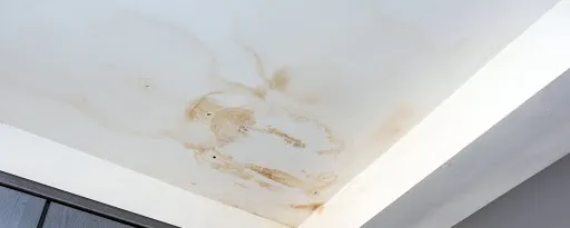 Taches d'humidité et dégâts des eaux sur un plafond blanc
