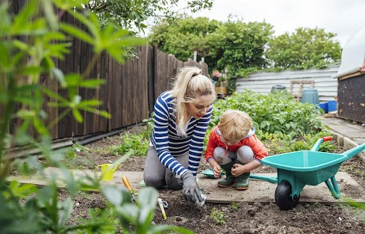 Mère et enfant jardinent ensemble dans un potager avec brouette verte