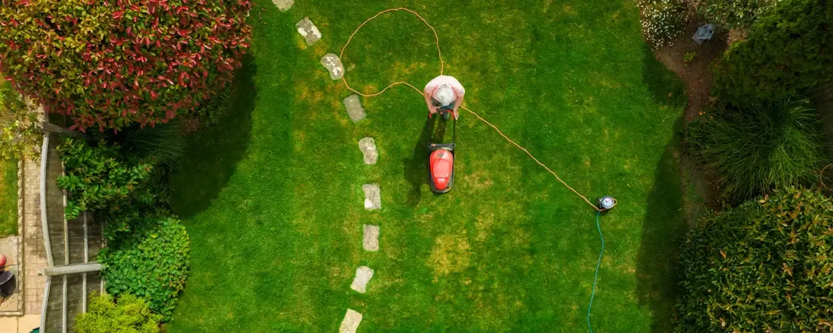Vue aérienne d'un jardin verdoyant avec une tondeuse à gazon
