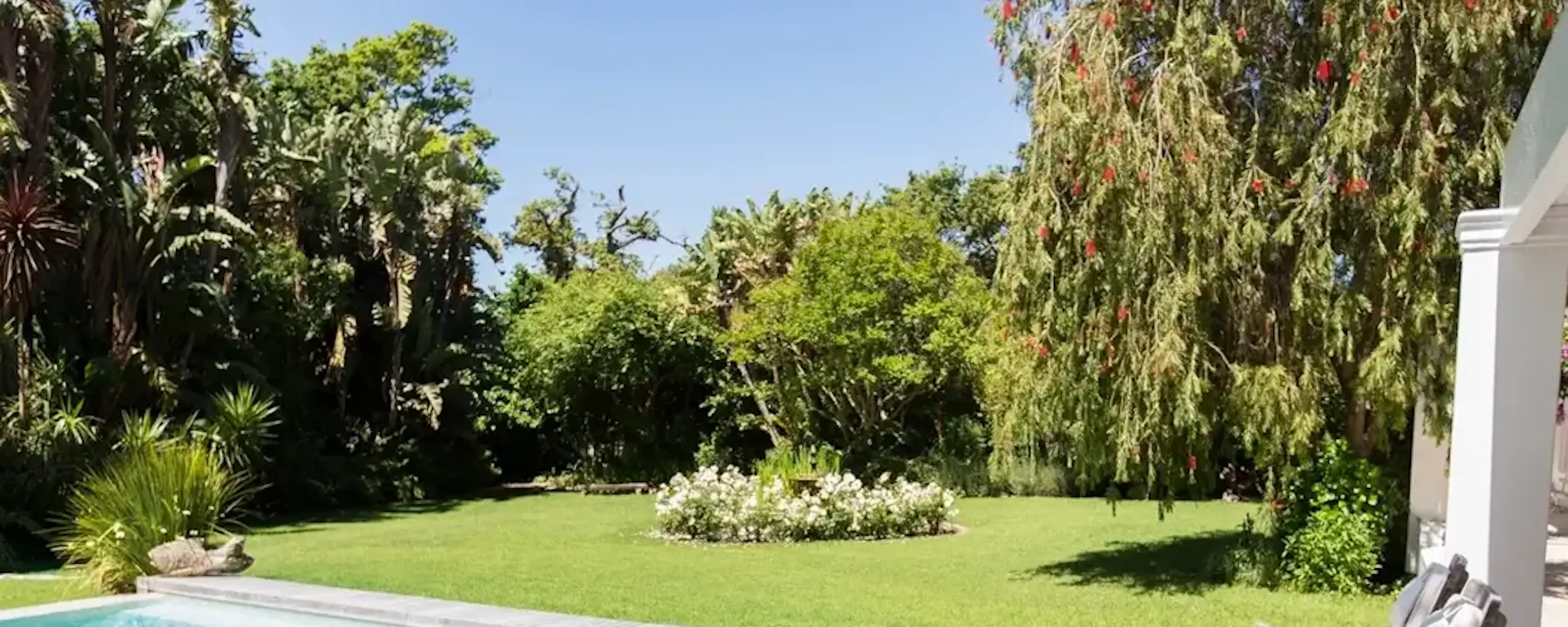 Piscine rectangulaire bleue dans un jardin verdoyant ensoleillé