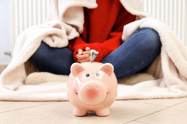 L’Anah, moteur de la rénovation de l’habitat en 2024 : bilan et perspectives