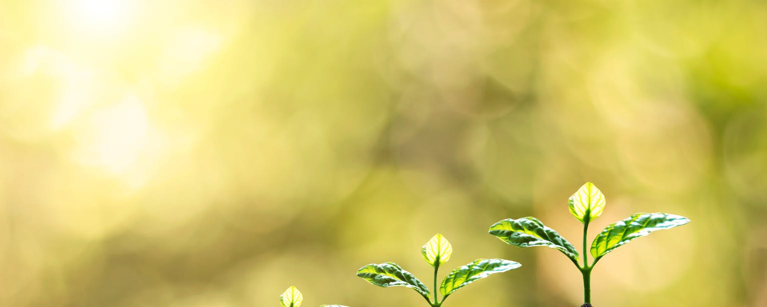 Le tarif de l’abonnement de l’électricité augmente au 1er août 2025