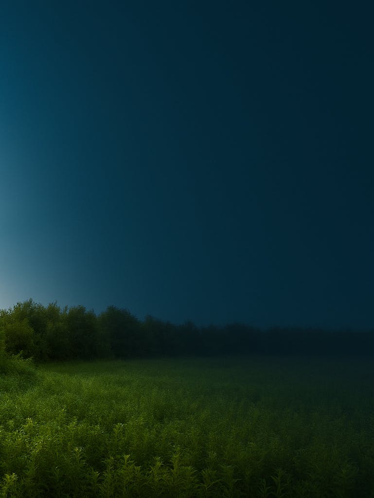 Présentation HomeServe : rénovation, chauffage, plomberie, réparation, dépannage, entretien