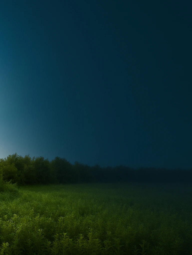 Présentation HomeServe : rénovation, chauffage, plomberie, réparation, dépannage, entretien