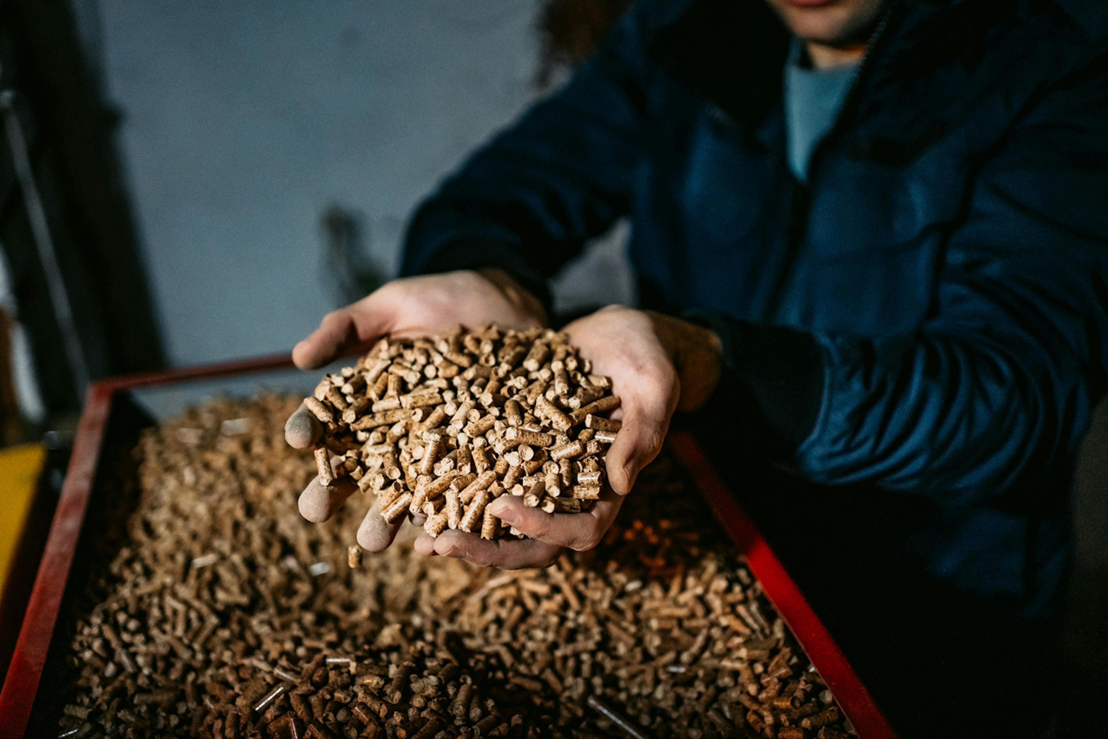 Chauffage au bois poêle