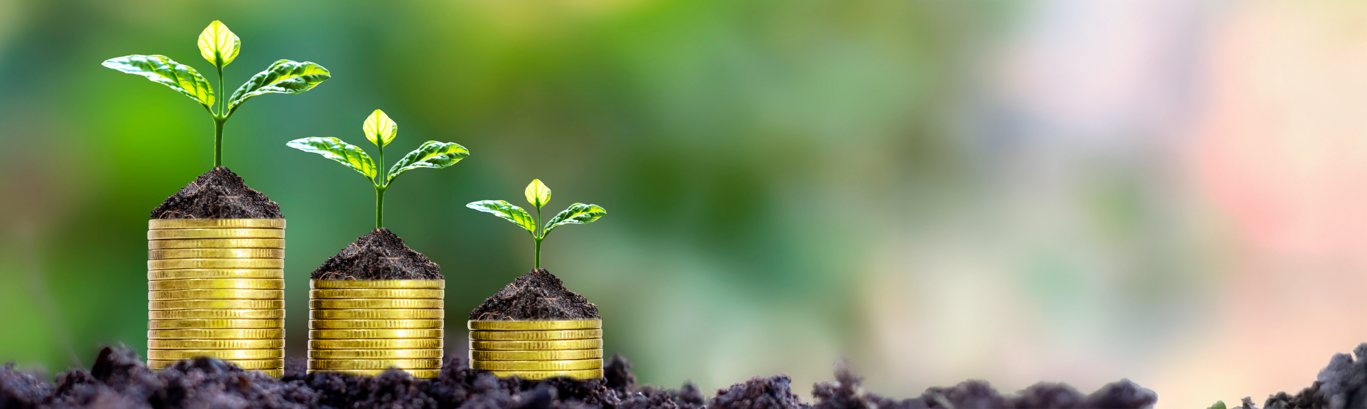 aides financières éco-PTZ