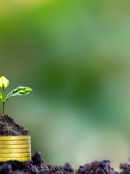 Eco-prêt à taux zéro