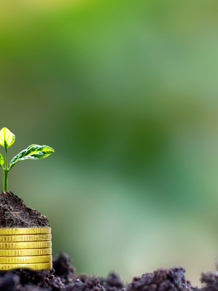 Eco-prêt à taux zéro