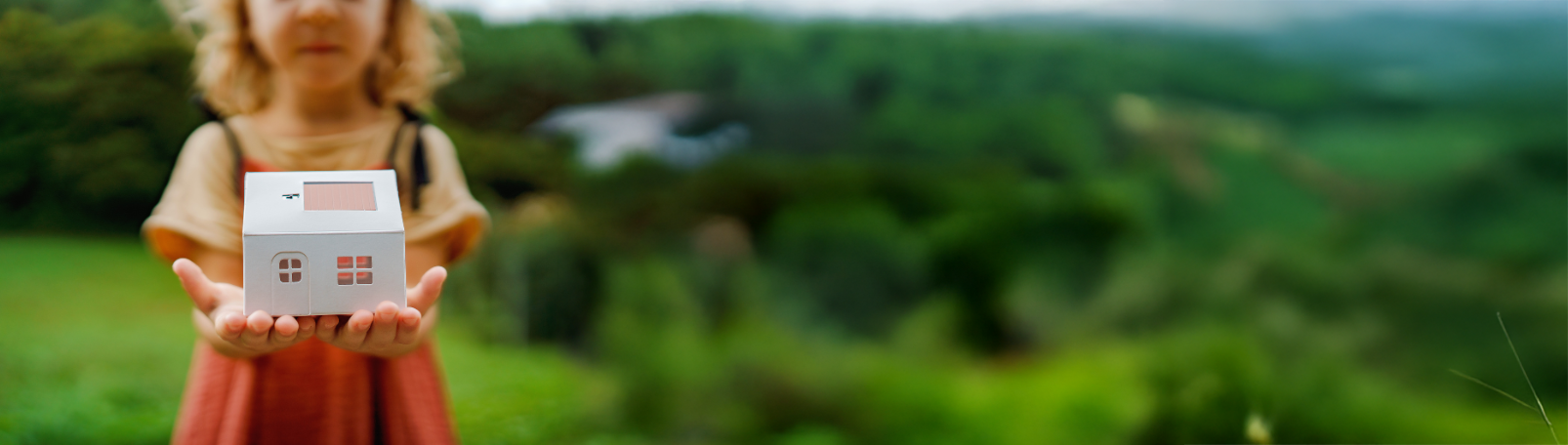 rénovation agences locales 