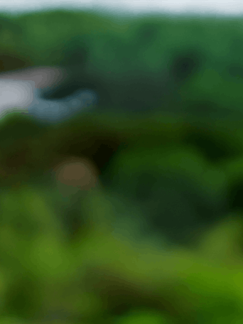 rénovation agences locales