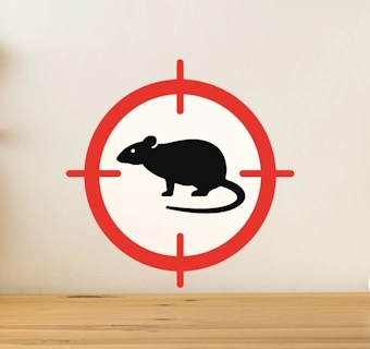 solutions anti rongeurs