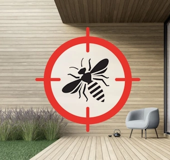 destruction de nids guêpes frelons