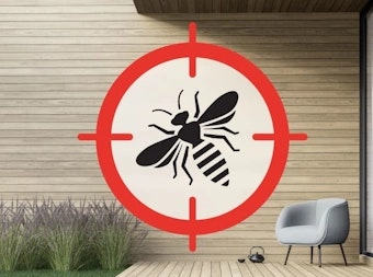 destruction de nids guêpes frelons