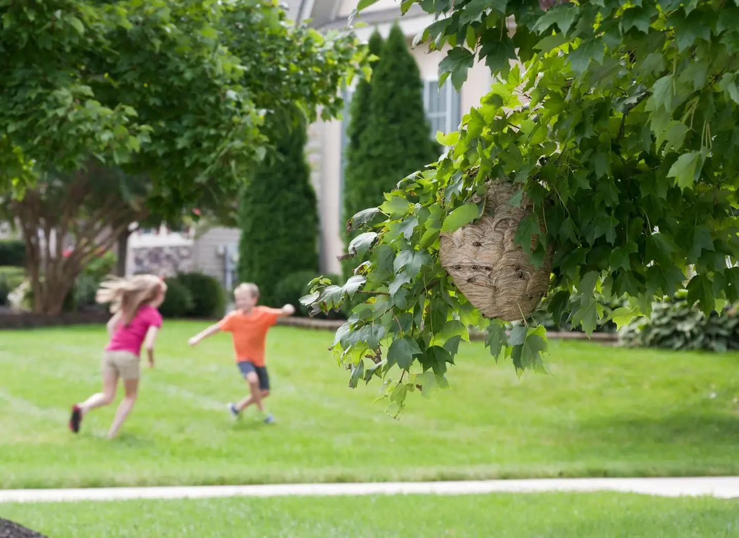 Deux enfants jouant dans un jardin verdoyant près d'un arbre