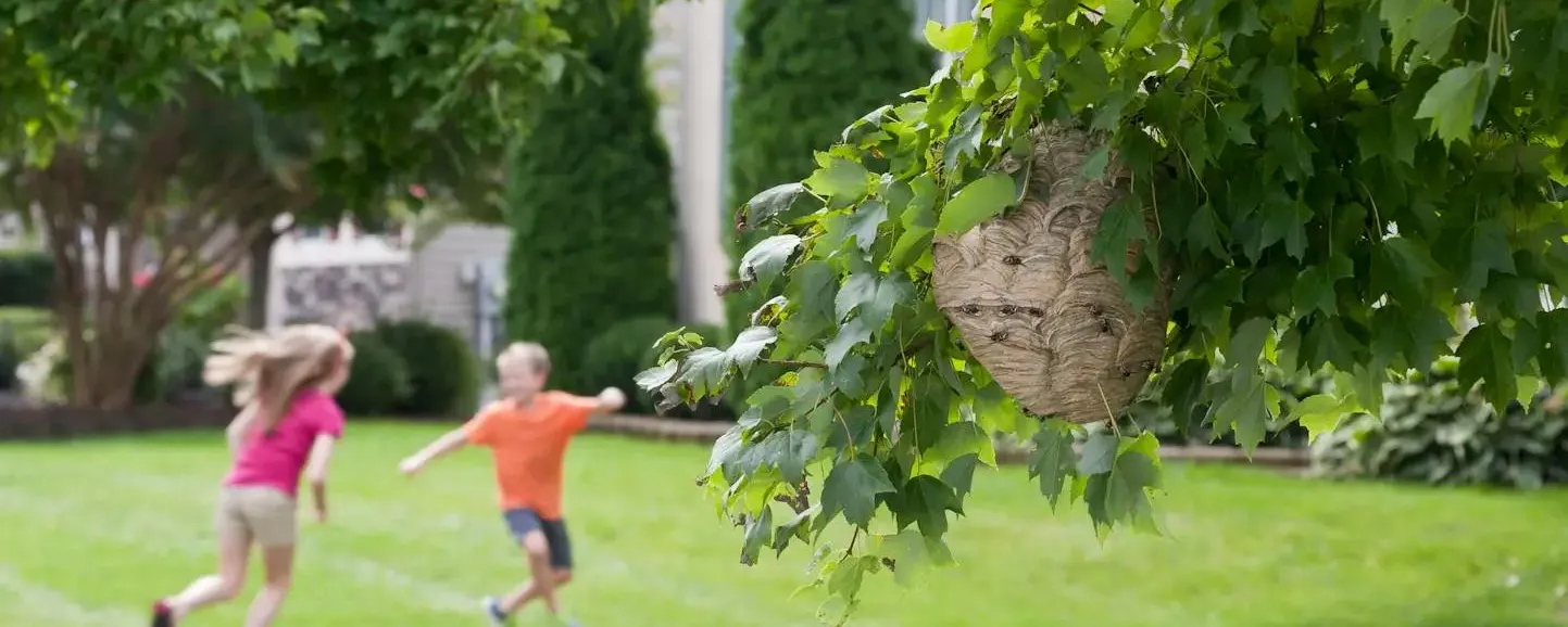 Deux enfants jouant dans un jardin verdoyant exposé aux insectes volants