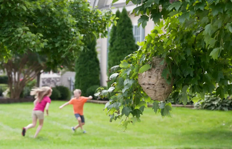 Deux enfants jouant dans un jardin verdoyant près d'un arbre