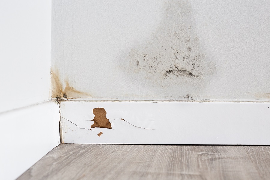 Tache d'humidité et moisissures au bas d'un mur blanc