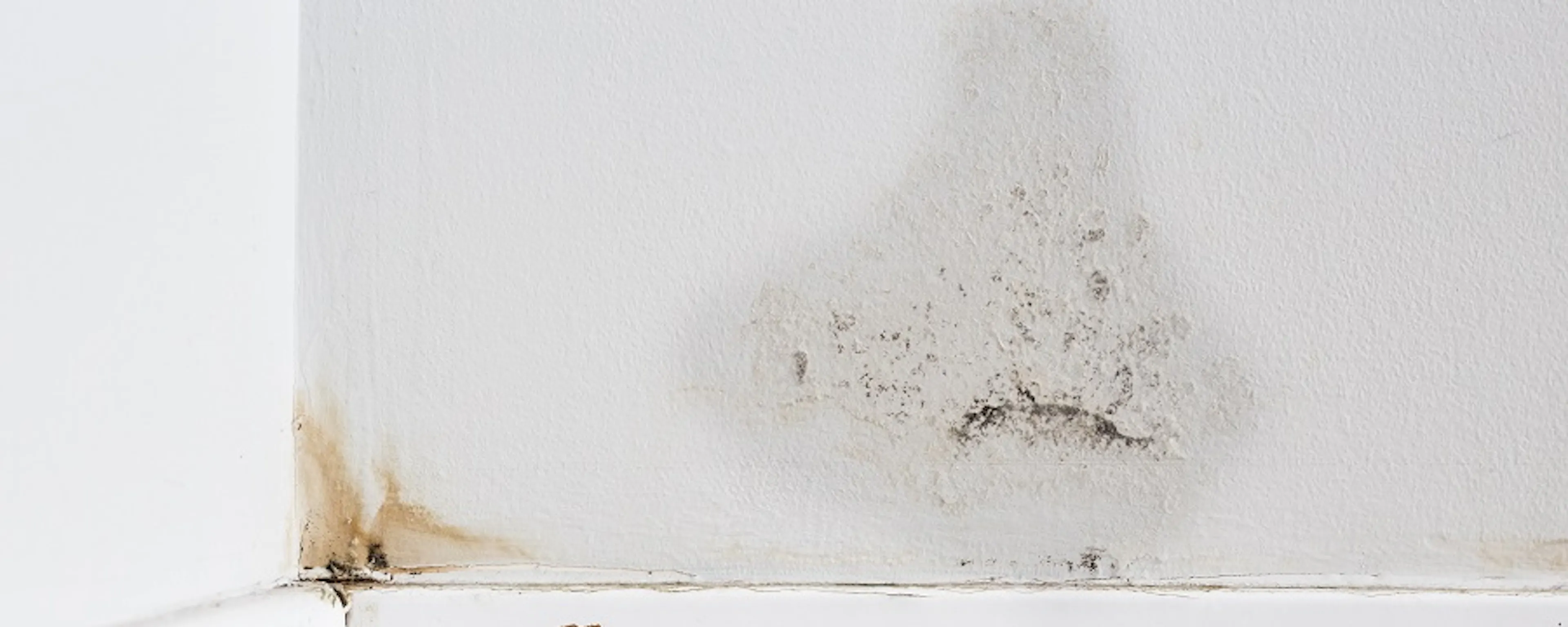 Tache d'humidité et moisissures au bas d'un mur blanc
