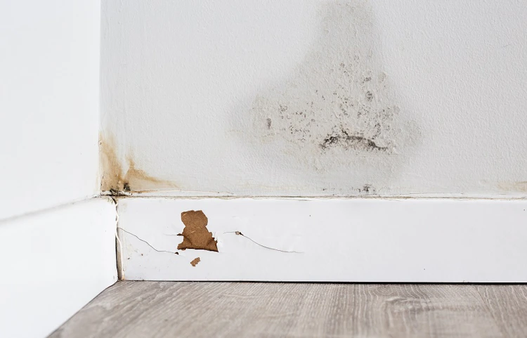Tache d'humidité et moisissures au bas d'un mur blanc
