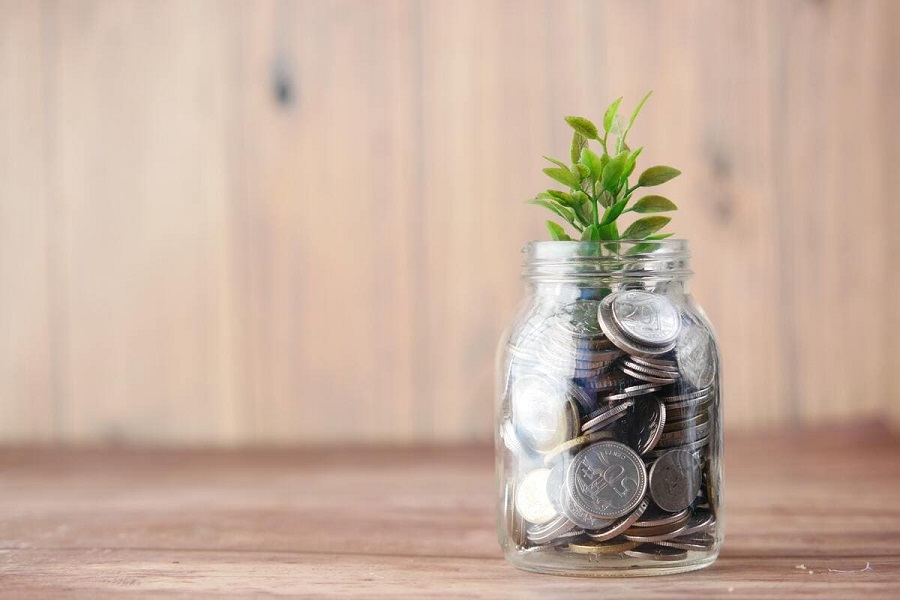 Bocal en verre rempli de pièces de monnaie avec une plante verte