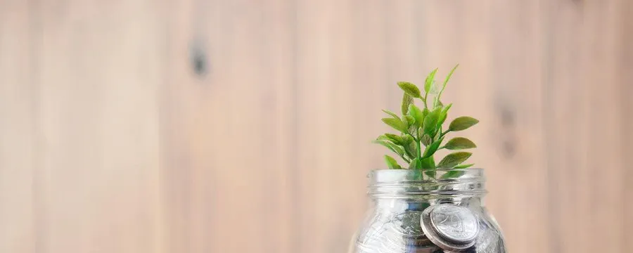 Bocal en verre rempli de pièces de monnaie avec une plante verte