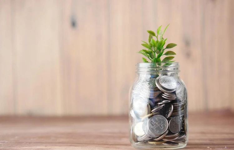 Bocal en verre rempli de pièces de monnaie avec une plante verte