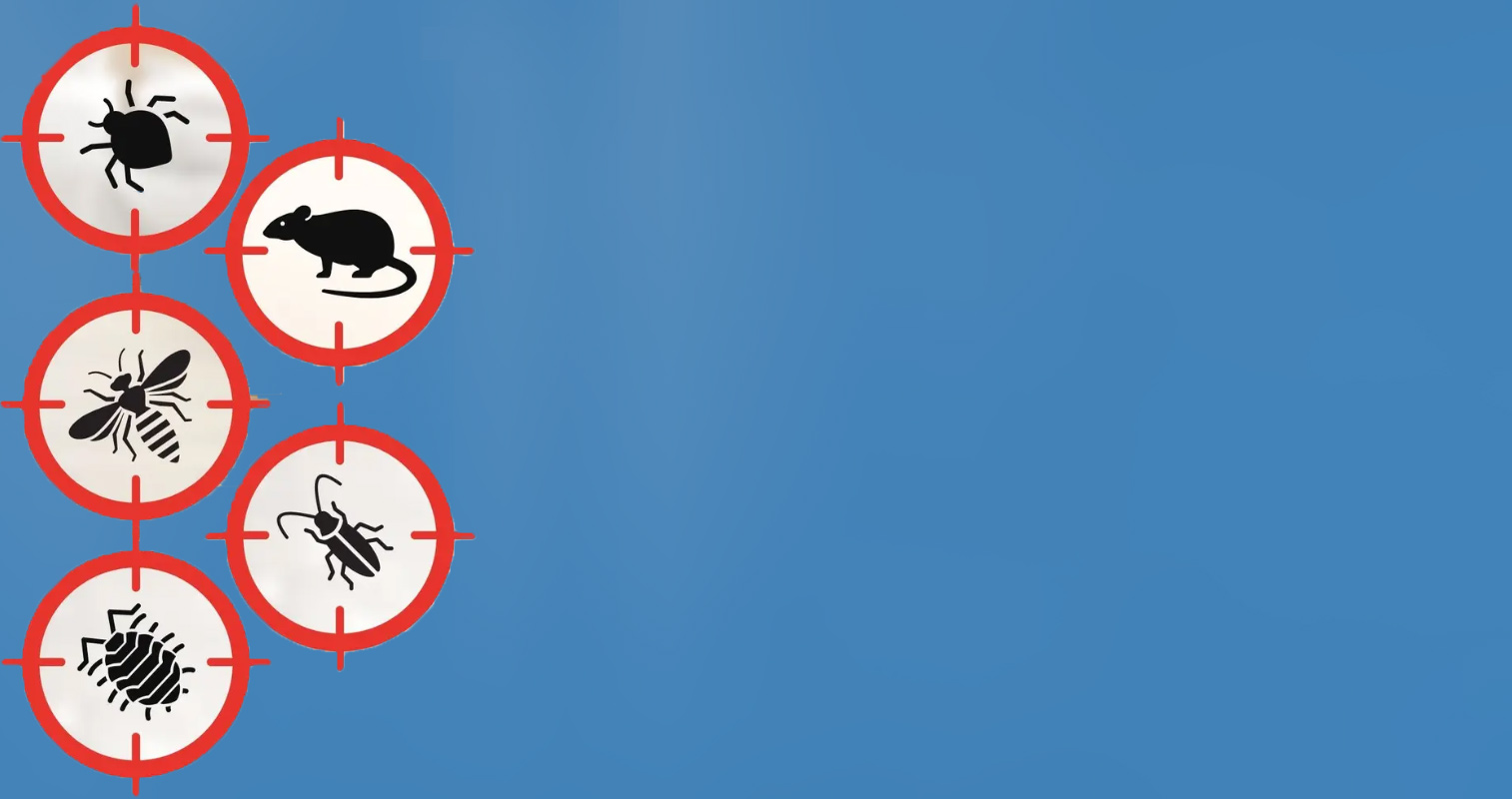 Désinsinsectisation et dératisation