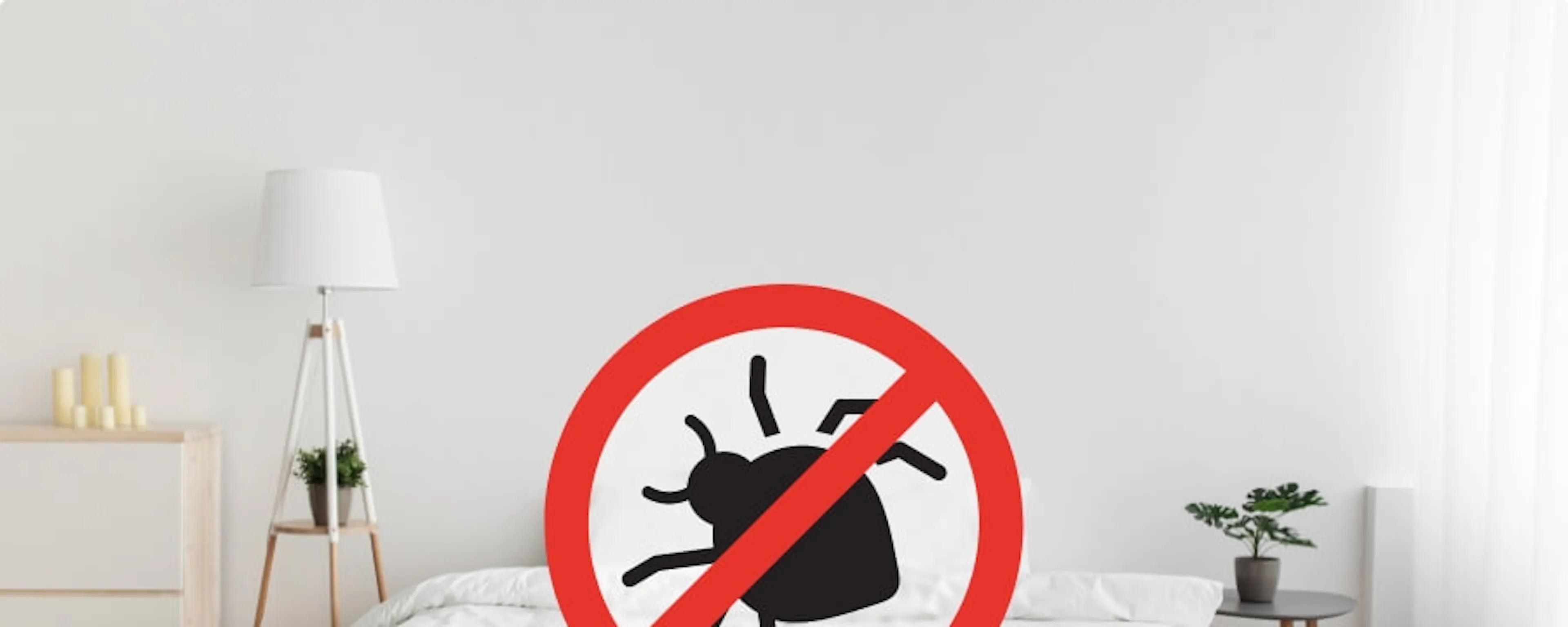Panneau interdit sur une punaise de lit dans une chambre blanche épurée