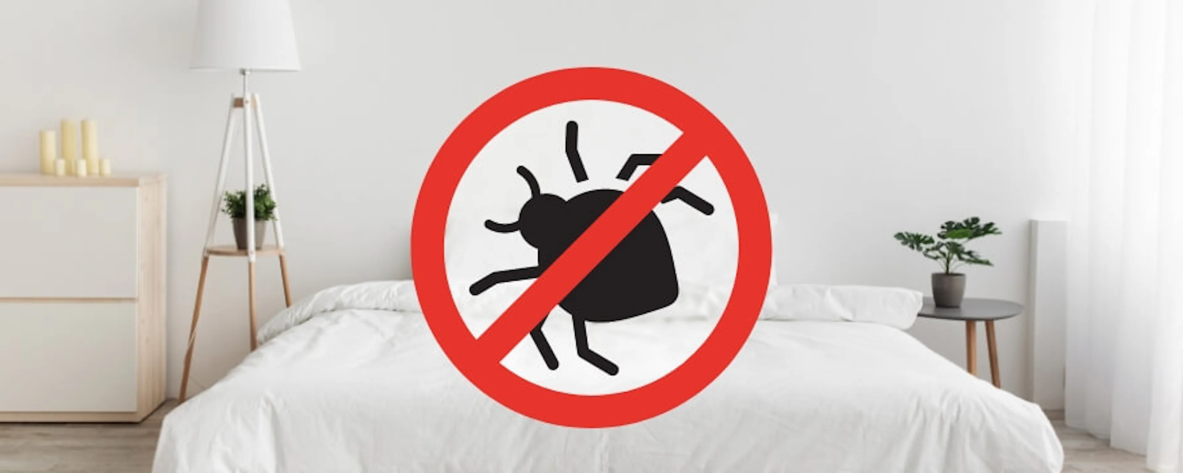 Panneau interdit sur une punaise de lit dans une chambre blanche épurée