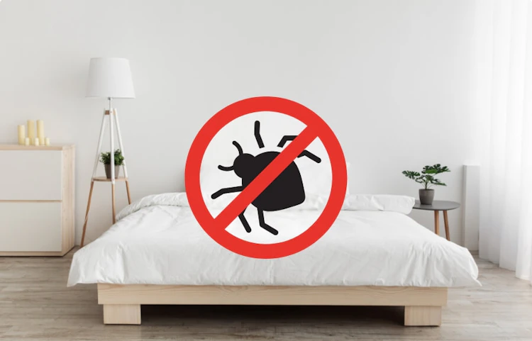 Panneau interdit sur une punaise de lit dans une chambre blanche épurée