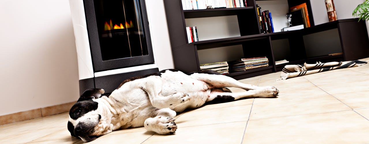 Devis pour poêle à granulés en Normandie