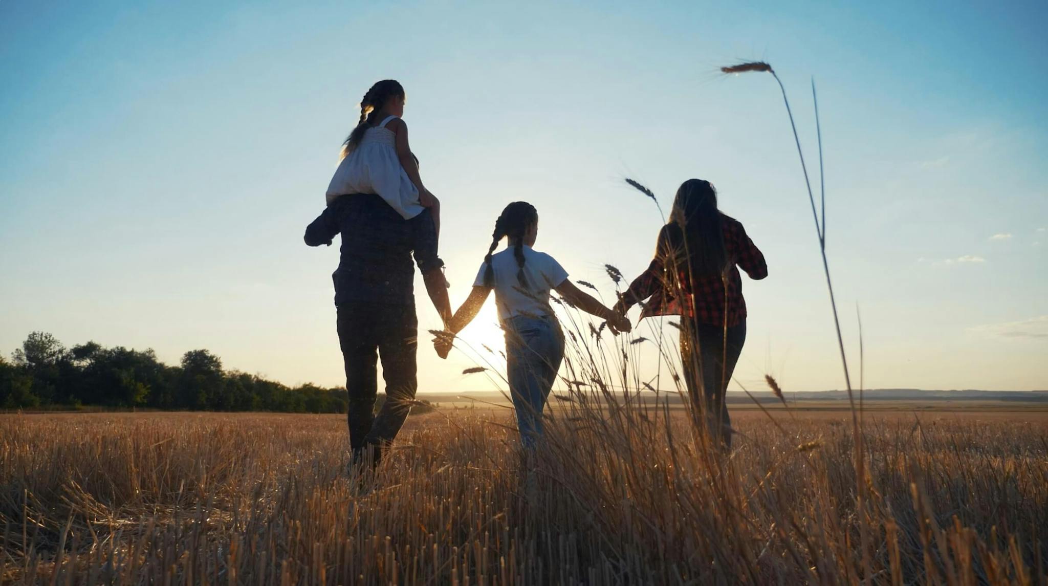 A family holding hands walks together through a field of tall wild grass during a sunset.