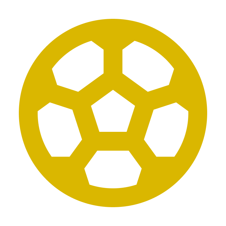 Soccer ball icon