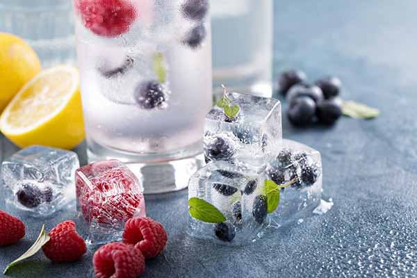 Decorative Iced Water Fruit Inside of Ice Cubes