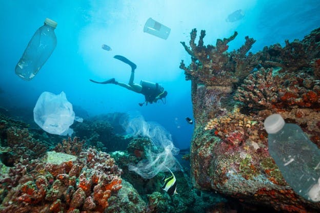 Forever Plastics Impact on Ocean Scuba Diver Dives
