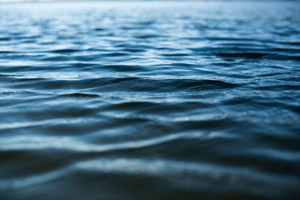 Lake Link Between Groundwater Contamination And Lake Water Quality