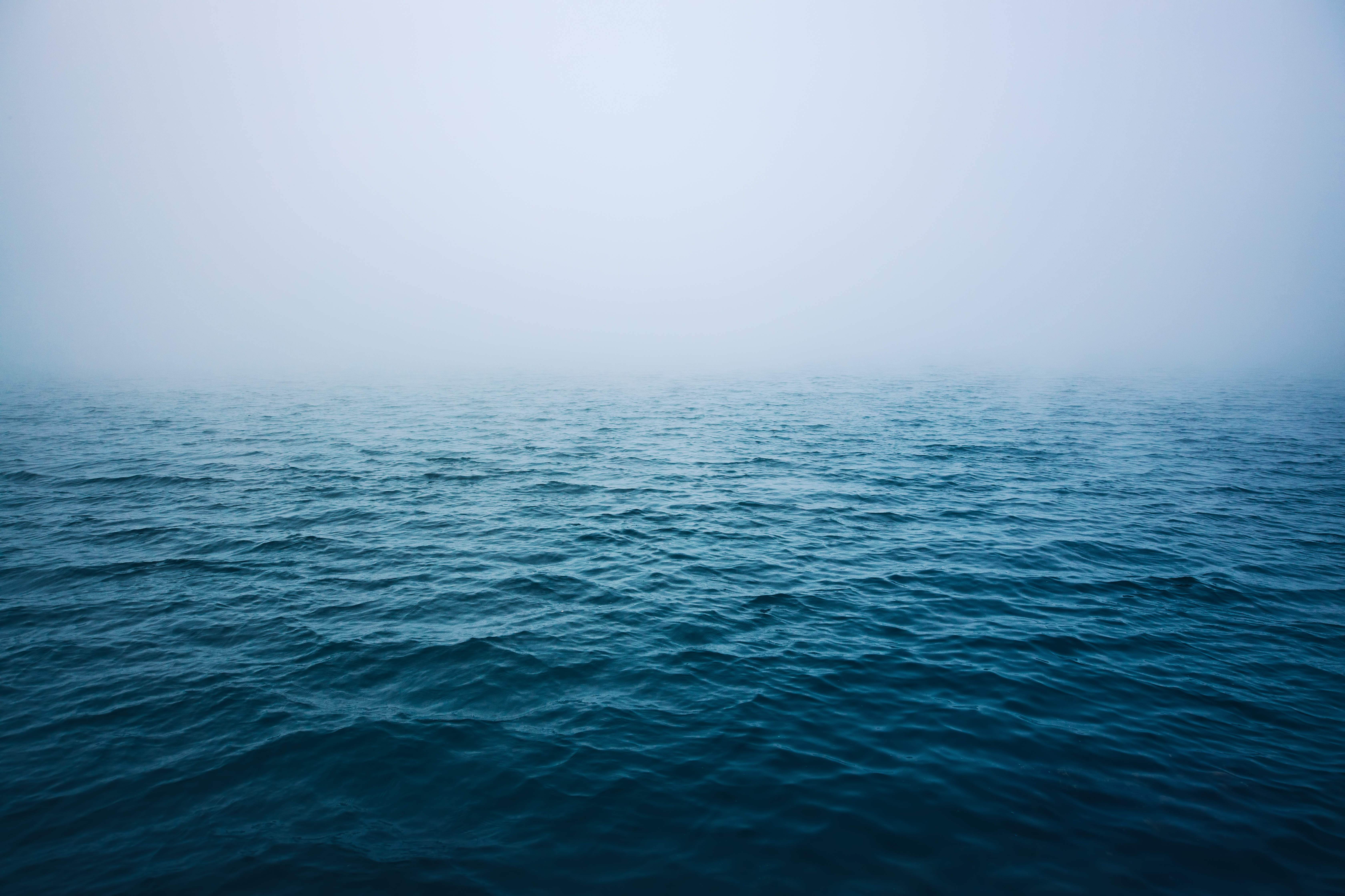 Ocean Acidification: Marine Life and Fisheries at Risk - HomeWater
