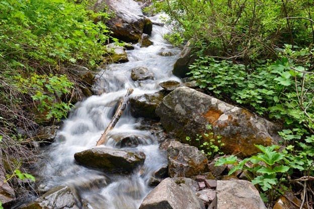 Denver Water Quality Image of Flowing Stream