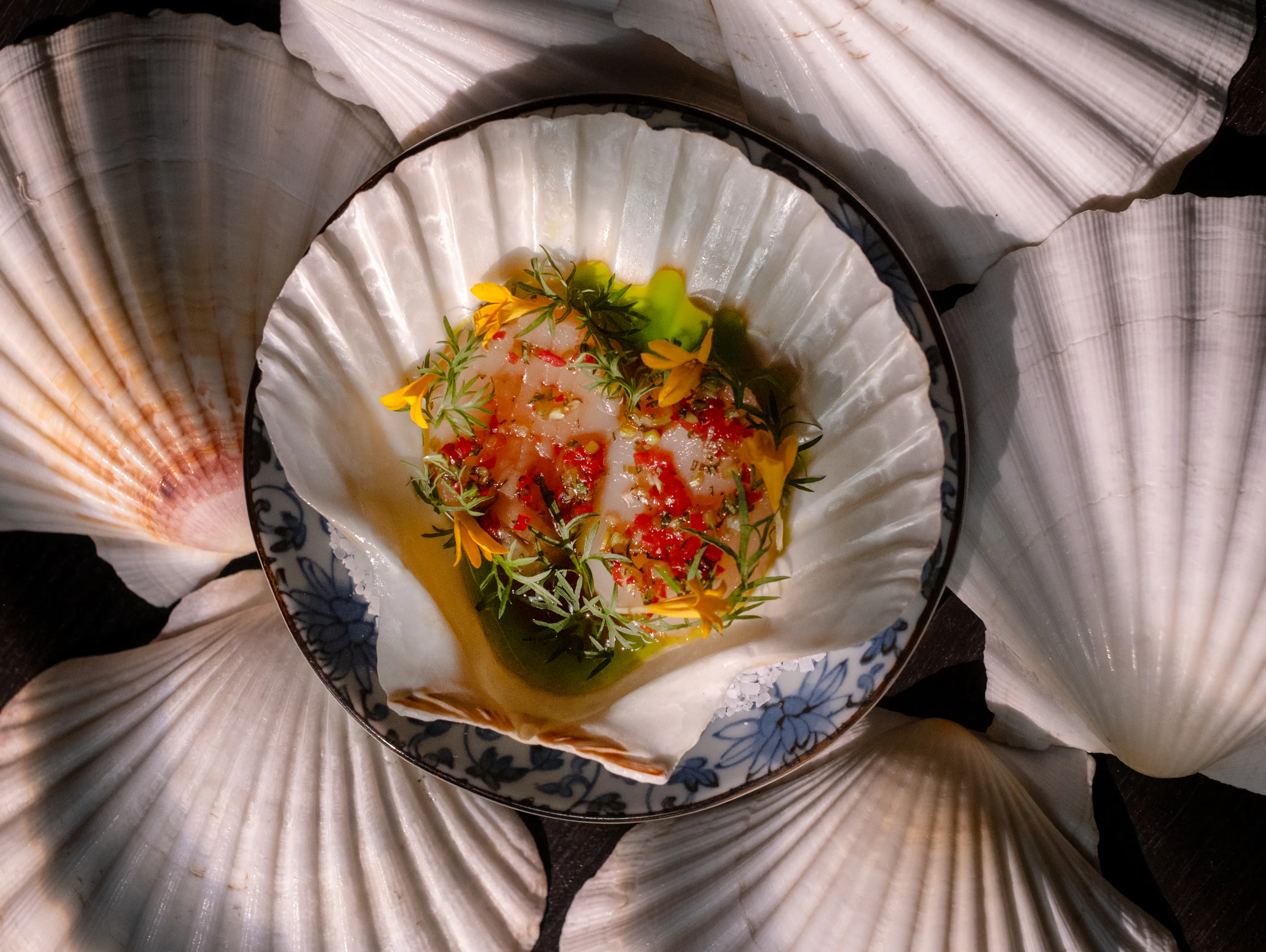 Picture of Scallop Crudo from Yan Dining Room